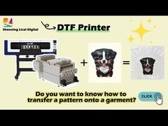 Impressora DTF Maintop com cabeça de impressão Epson XP600 e tinta de pigmento